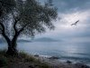Durgun Deniz, Yorgun Zihin ve Bize Ait Olmayan Şeyler