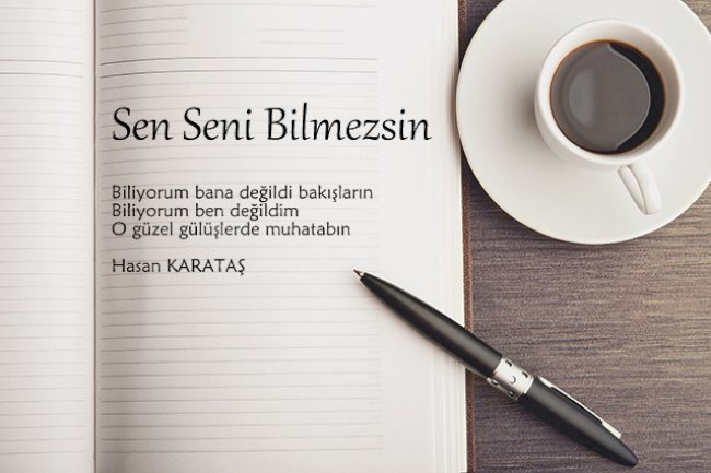 Sen Seni Bilmezsin