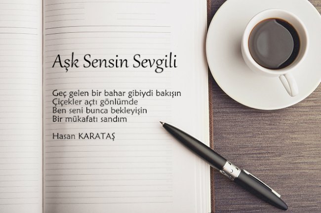 Aşk Sensin Sevgili
