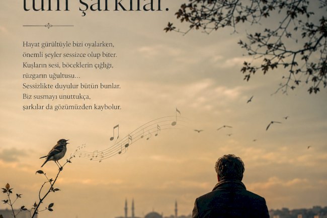 Sessizliğin Şarkısı, Duyulmayanlar