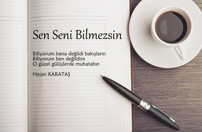 Sen Seni Bilmezsin