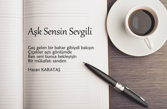 Aşk Sensin Sevgili