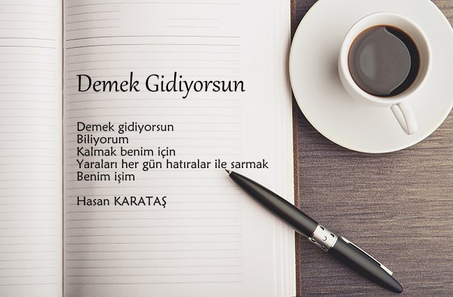 Demek Gidiyorsun